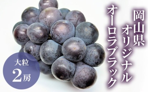 【食べやすさ抜群！】岡山県オリジナル オーロラブラック（2房）