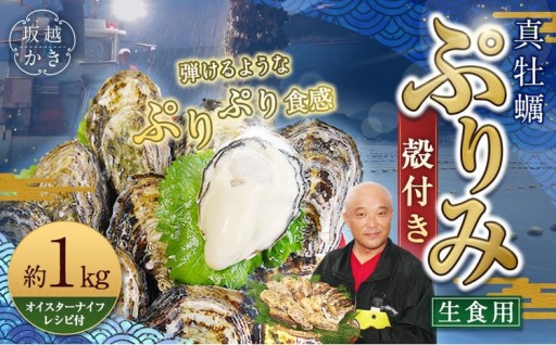 生食用 真牡蠣「ぷりみ」約1kg