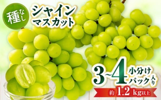 【小分けパック入り】パクパク食べれる・シャインマスカットパック　約1.2kg以上 