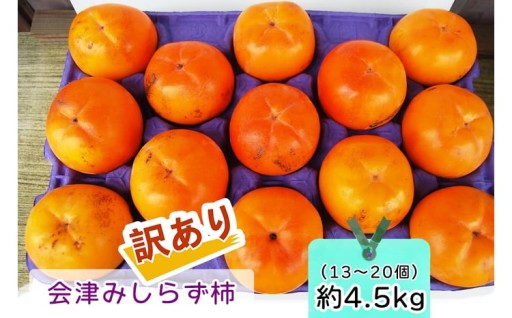 会津身しらず柿 (訳あり・家庭用) 約4.5kg (13個から20個入り)