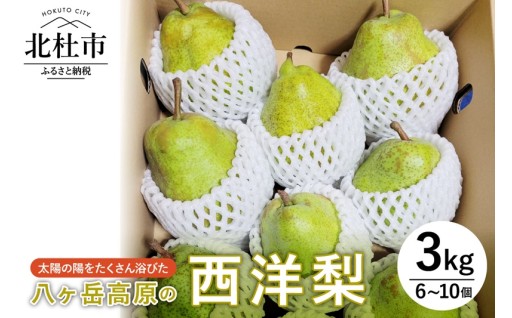 【2026年先行予約】八ヶ岳高原の西洋梨 3kg
