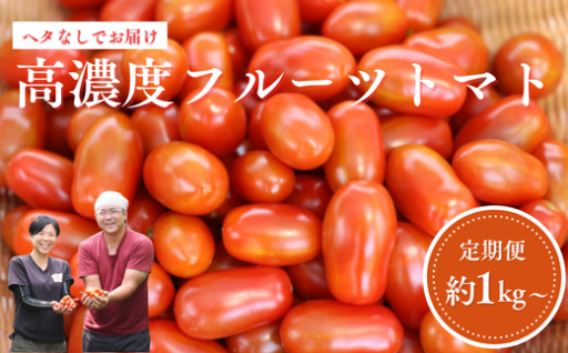 まるでフルーツ⁉️濃厚な甘さが自慢のミニトマト✨