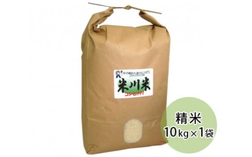 米川こしひかり　精米　10kg