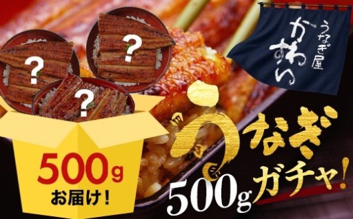 何が届くかお楽しみ国産うなぎガチャ福袋 500g！