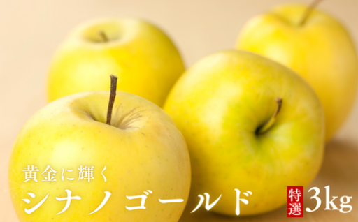 甘いだけじゃない。酸味が引き立てる、シナノゴールドの美味しさ✨