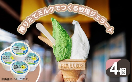 【濃厚ミルクを味わう…♡】搾りたてミルクでつくるジェラート（4個セット）