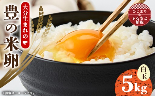 鶏にも環境にも優しい💛大分生まれのAW飼い「豊の米卵」5kg(白卵)🥚✨