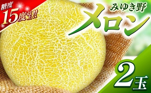 みゆき野メロン2玉