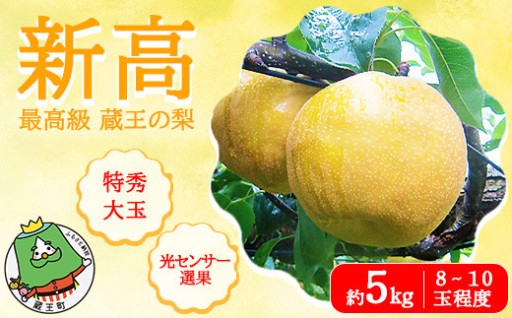 【先行予約】最高級 新高 約5kg 特秀･大玉