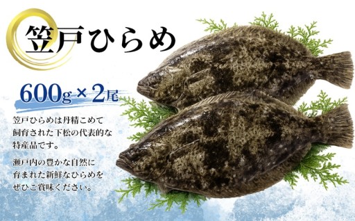 新鮮な笠戸ひらめを、刺身でも煮付けでも楽しめる鮮魚便