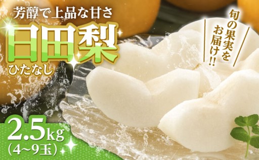 旬の日田梨お届け便　約2.5kg(幸水梨、豊水梨、秋月梨、新高梨、新興梨)