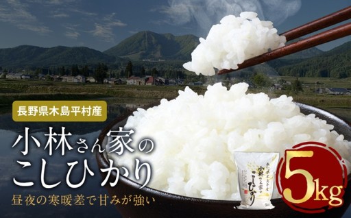 木島平産 小林さん家のこしひかり 約5kg