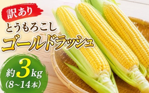 訳あり とうもろこし 約3kg（8～14本）