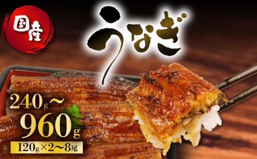 【藤枝のうなぎをご紹介！】