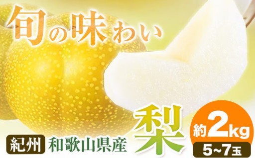 【もうすぐ受付終了】みずみずしさと上品な甘み！紀州和歌山県産の梨 約2kg