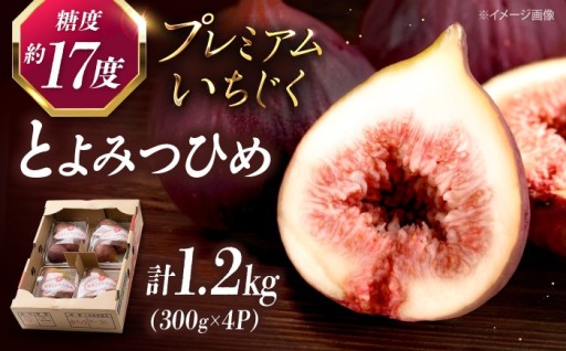 【昨年大人気だったあの…】糖度17度！福岡限定とよみつひめ✨