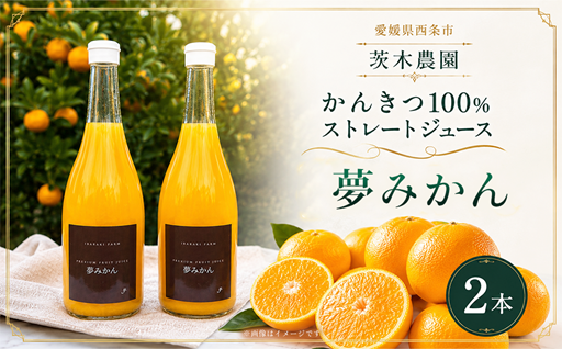一度飲むと美味しさがわかる！高級みかんジュース