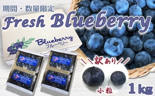 【8月20日まで受付中】甘さ濃厚！生ブルーベリー