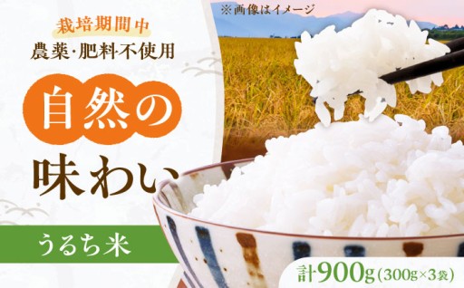 農薬・肥料不使用！高槻産ヒノヒカリ900g🌾