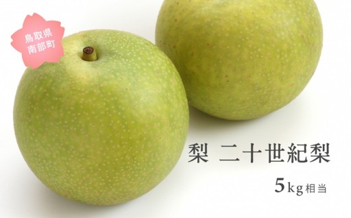 爽やかにあふれる果汁！旬の二十世紀梨をお届け！