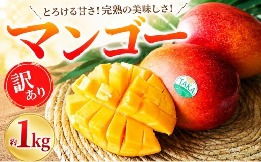今が旬！マンゴーはいかがでしょうか？