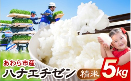 【先行予約】粒揃いの美味しい高品質米🍚