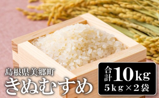 冷めても美味しい！ツヤと甘みの美郷町産きぬむすめ10kg🍙