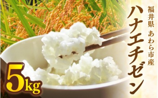 【先行予約】炊き上がりは白く美しいツヤ🍚