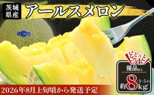 【とろける甘さをご堪能♪】アールスメロン3～5玉（約8kg） 
