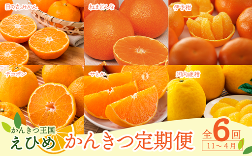 柑橘王国愛媛よりお届け！ かんきつ定期便 全6回
