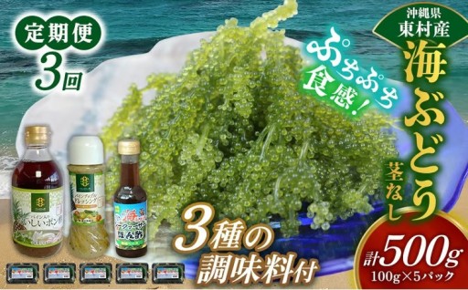 【定期便：3回】美ら海 沖縄県産 海ぶどうセット／茎なし500g（100g×5パック）＆調味料３種セット
