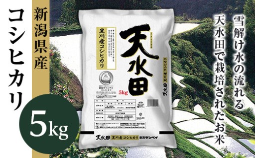 【清らかな水が育てたお米】新潟県黒川産コシヒカリ5kg