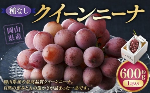 《種なし》 岡山県産 クイーンニーナ 1房（約600g）【2026年8月下旬-9月下旬発送予定】