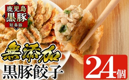 鹿児島黒豚「短鼻豚」無添加餃子 計24個(12個入×2パック)