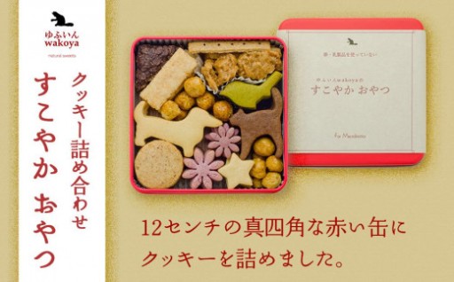 大分県産地粉(小麦粉・米粉)使用　クッキー詰め合わせ「すこやか おやつ」【卵・乳製品不使用／ギフト用包装】