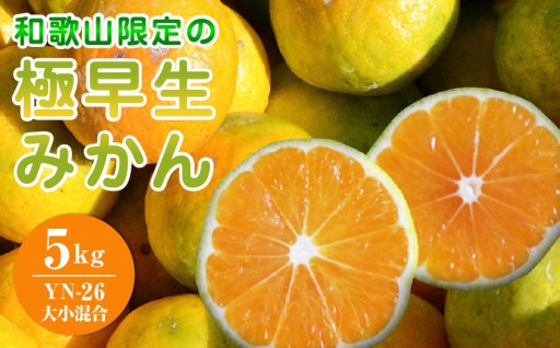 【2026年先行予約】和歌山県限定の極早生みかん 5kg (YN-26 大小混合)