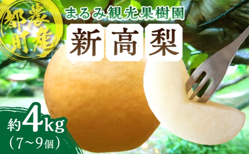 【宮崎県都農町】📢先行予約受付中📢まるみ観光果樹園の『新高梨』(約4kg)🍐