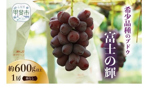 希少品種　有機栽培にこだわったぶどう　富士の輝