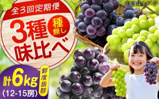 3種を味わう沼隈ぶどう定期便