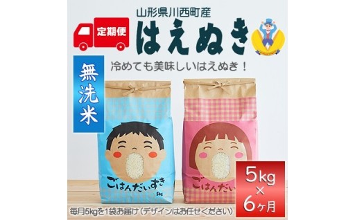 ＜発送月固定定期便＞はえぬき　無洗米　5kg全6回【4090387】