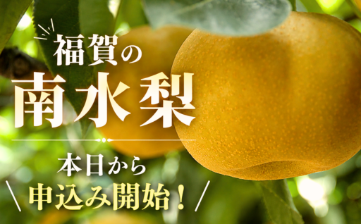 🍐福賀の南水梨、本日から申込み開始です！