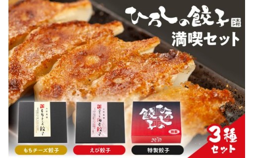 【山形県東根市】ひろしの餃子 満喫セット🍻　🦐🥟🧀（もちチーズ餃子10個、特製餃子16個、えび餃子20個）🧀🥟🦐
