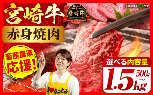 【国富町ふるさと納税】宮崎牛赤身 焼肉 