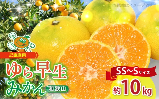 【2026年先行予約】【ご家庭用 極早生】和歌山 有田ゆら早生みかん 約10kg (SS、Sサイズ)