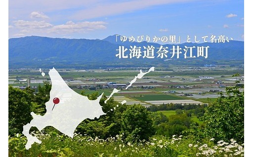 【お米を長く！美味しく！食べよう】北海道奈井江町の『ゆめぴりか玄米』をお届け