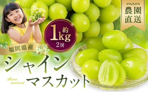 農園直送！ シャインマスカット 約1kg （ 2房 ） 