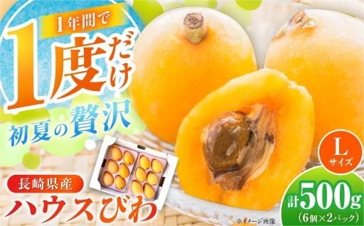 また食べたくなる！愛を込めて育んだ長崎のびわ。