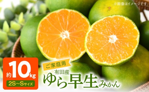 【2026年先行予約】有田みかん 約10kg ご家庭用 和歌山 ゆら早生 極早生 (SS、Sサイズ)