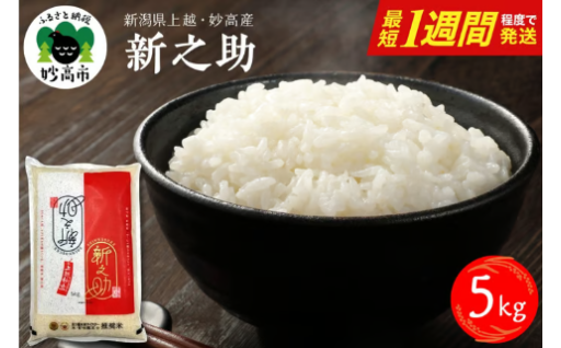 【新米受付中】🍚新潟県上越妙高産 新之助🍚