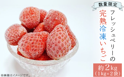 【旬の甘さをいつでも♪】数量限定！ 完熟冷凍いちご （約2kg） 